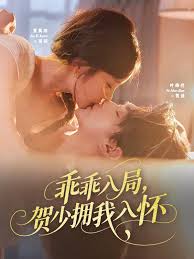 乖乖入局贺少拥我入怀海报