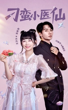 刁蛮小医仙海报