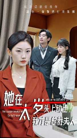 她在太岁头上动土，我才是总裁夫人海报