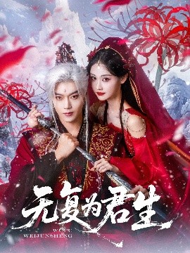 无复为君生海报