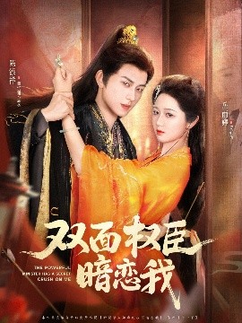 双面权臣暗恋我海报