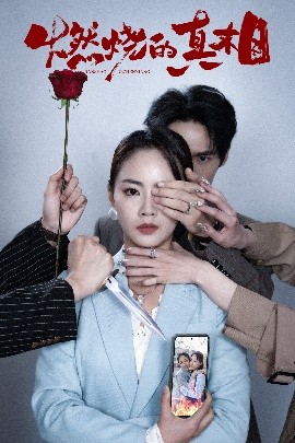 燃烧的真相海报