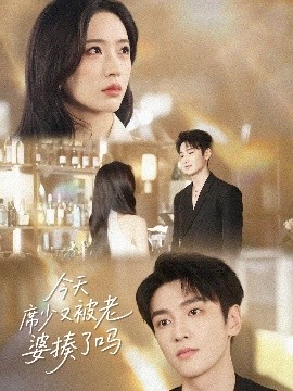 今天席少又被老婆揍了吗海报