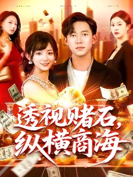 透视赌石纵横商海海报