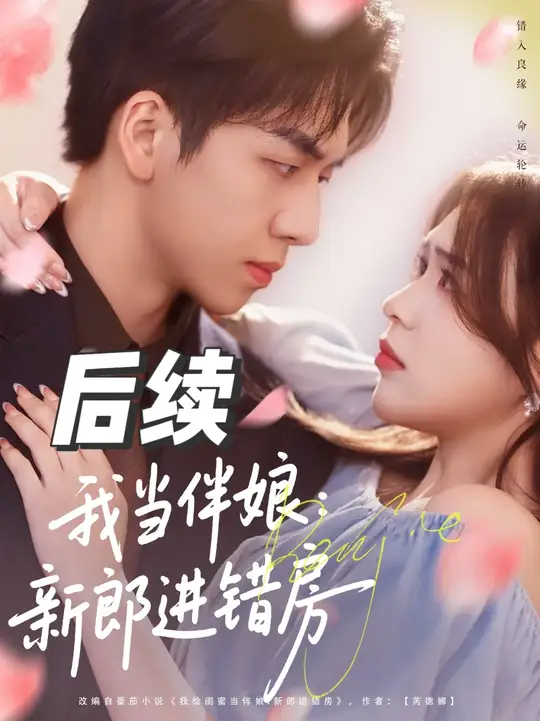 我当伴娘新郎进错房海报