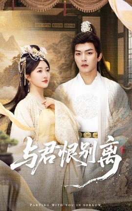 与君恨别离海报