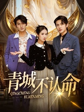 青城不认命海报