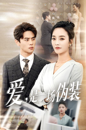 爱是一场伪装海报