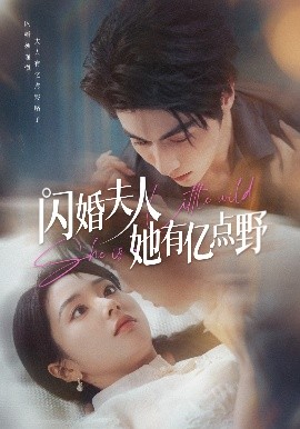 闪婚夫人她有亿点野海报