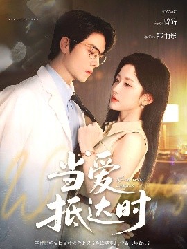 当爱抵达时海报