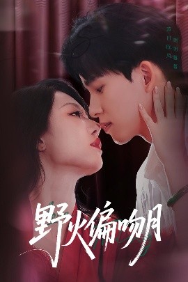野火偏吻月海报