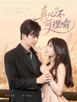 真心不可理喻海报