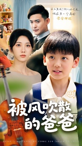 被风吹散的爸爸海报