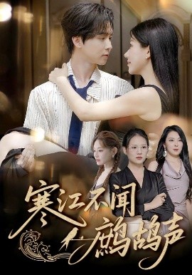 寒江不闻鹧鸪声海报