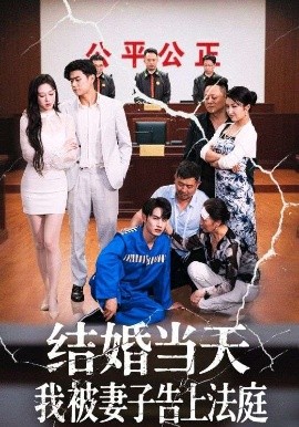 结婚当天我被妻子告上法庭海报
