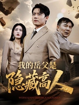 我的岳父是隐藏高人海报