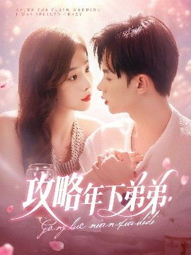攻略年下弟弟海报