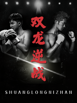 双龙逆战＆拳王之父子双龙海报