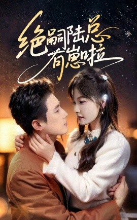 绝嗣陆总有崽啦海报