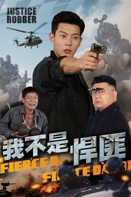 我不是悍匪海报