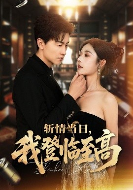 斩情当日，我登临至高海报