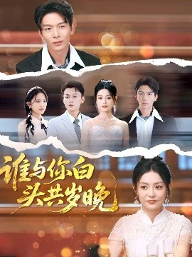 谁与你白头共岁晚海报