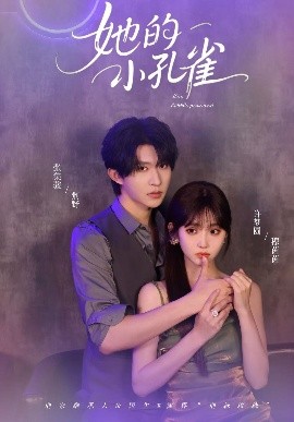 她的小孔雀海报