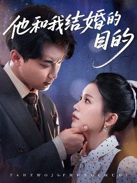 他和我结婚的目的海报