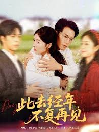 此去经年不复再见海报