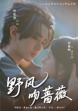 野风吻蔷薇海报