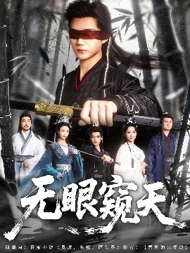 无眼窥天海报