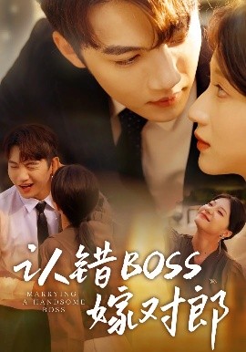 认错boss嫁对郎海报