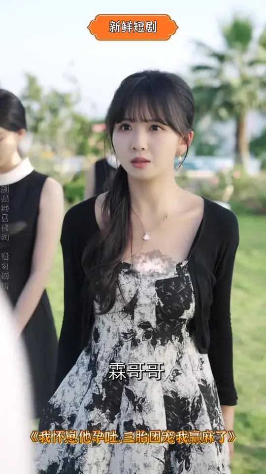 我怀崽他孕吐三胎团宠我赢麻了海报