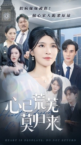 心已荒芜莫归来海报