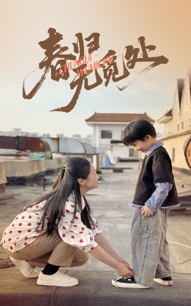 春归无觅处海报