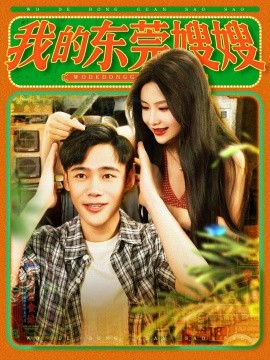 我的东莞嫂嫂海报