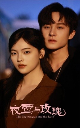 夜莺与玫瑰海报