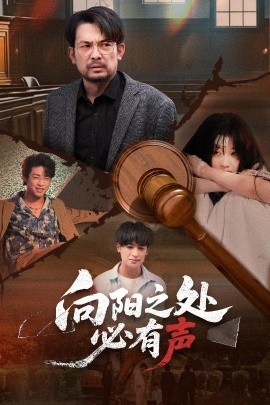 向阳之处必有声海报