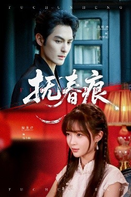 抚春痕海报
