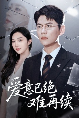 爱意已绝难再续海报