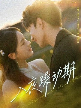 入夜躁动期海报