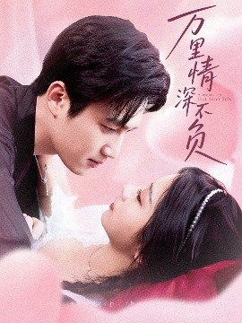 万里情深不负海报