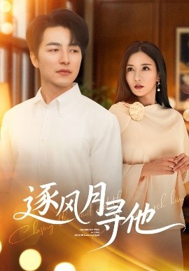 逐风月寻他海报