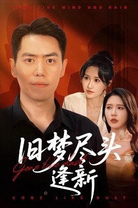 旧梦尽头逢新海报