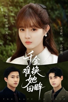 千金难换她回眸海报