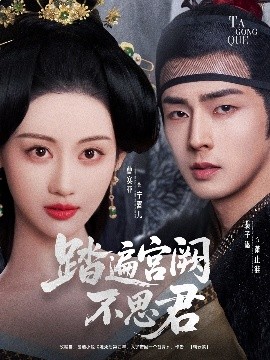 踏遍宫阙不思君海报