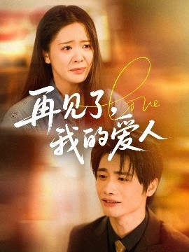 再见了我的爱人海报