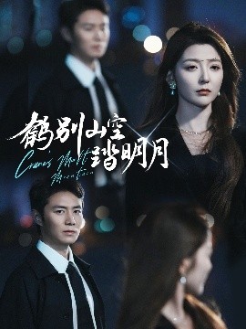 鹤别山空踏明月海报