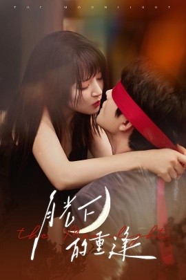 月光下的重逢海报