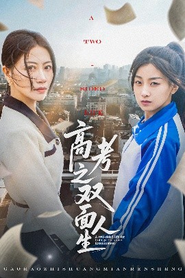 高考之双面人生海报